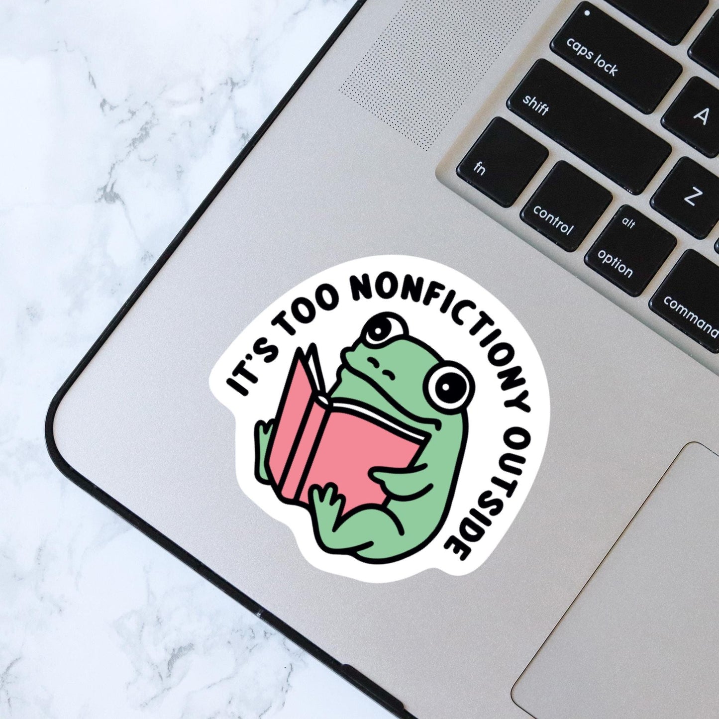 It's Too Nonfictiony Outside Sticker, Bookish Kindle Laptop Decal, Gifts for Book Lovers