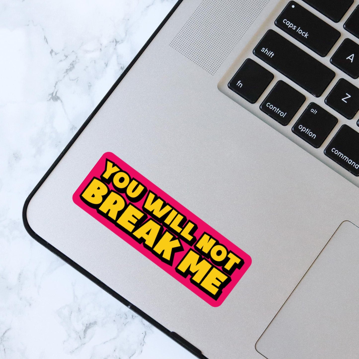 You Will Not Break Me Sticker, Kindle Laptop Decal, Gifts for Book Lovers, DCC
