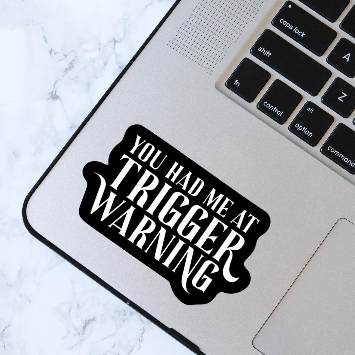 You Had Me At Trigger Warning, Bookish Kindle Laptop Decal, Gifts for Book Lovers, Waterproof