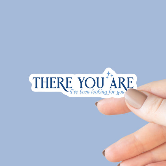 There You Are I've Been Looking For You Sticker, ACOTAR, Romance, Romantasy, Bookish Sticker, Kindle Decal, Romantasy, Fantasy