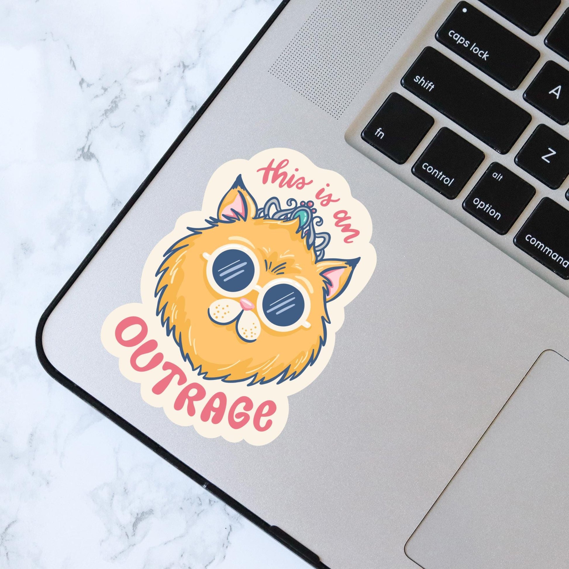 This is an Outrage! Princess Donut Sticker, Bookish Laptop Kindle Decal, Gifts for Readers