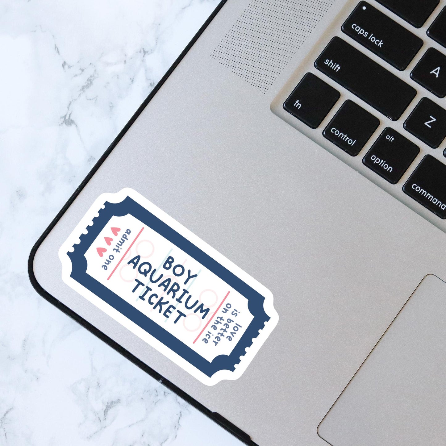 Boy Aquarium Sticker, Hockey Romance, Bookish Laptop Kindle Decal, Gifts for Readers