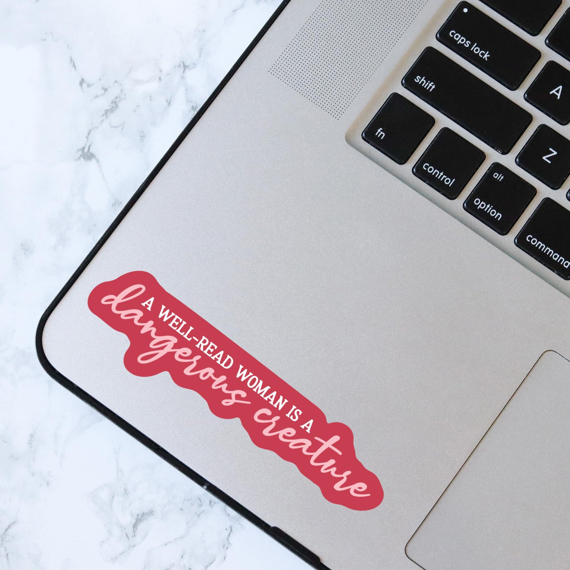 A Well-Read Woman is a Dangerous Creature Sticker, Bookish Laptop Kindle Decal, Gifts for Readers